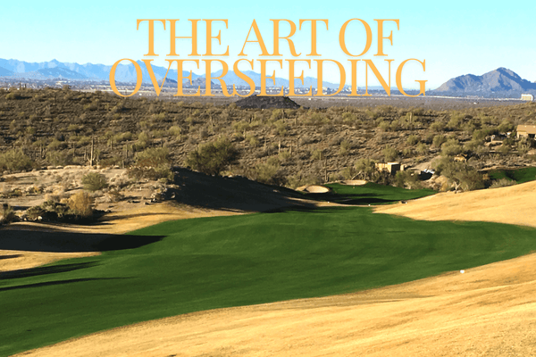 Preparing for the Winter Golf Season: The Art of Overseeding